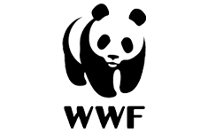 WWF