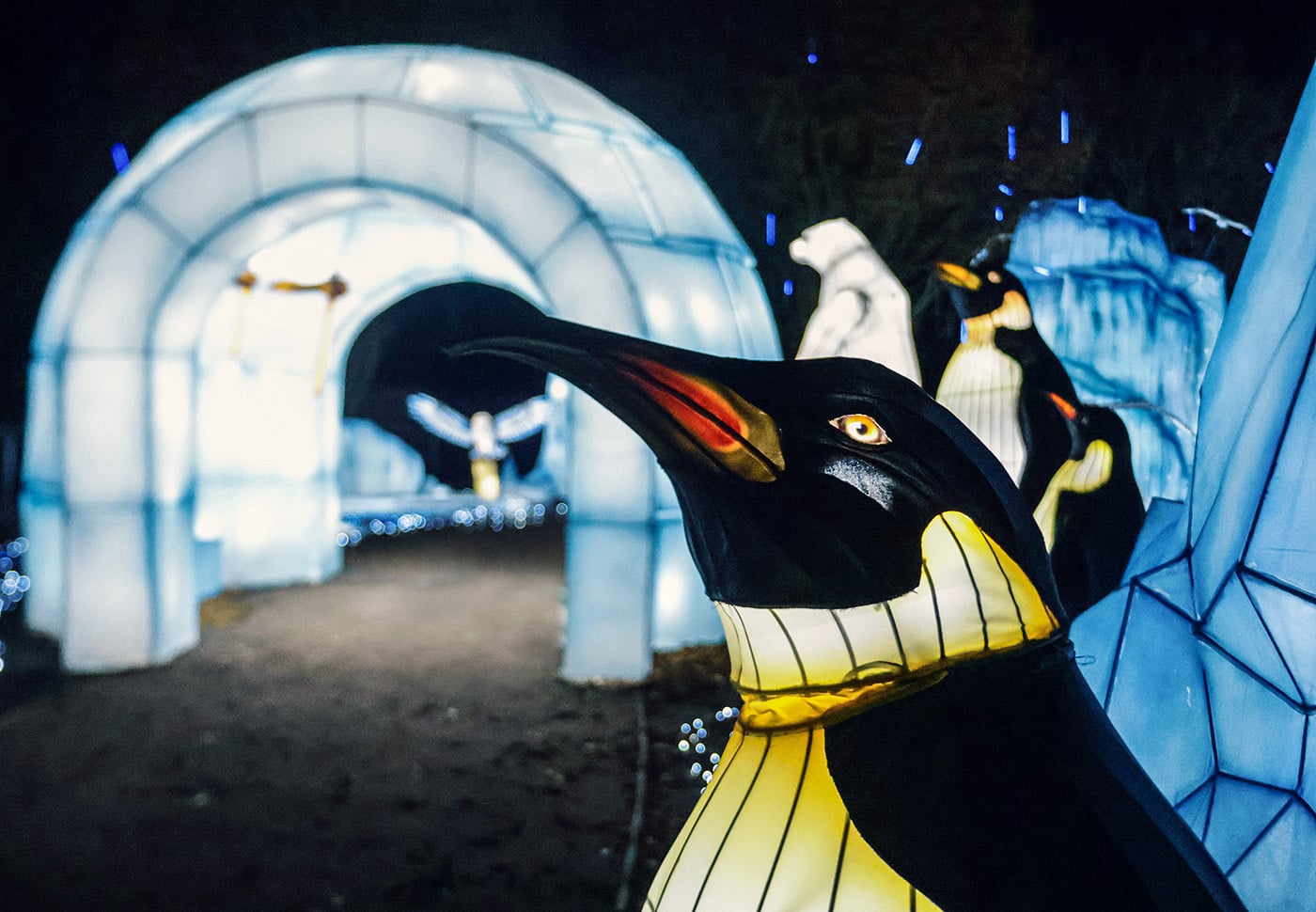 February half-term at Twycross Zoo